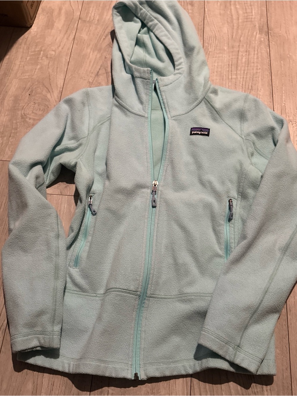 Patagonia Women’s Light Mint Fleece Hoodie Jacket - Picture 1 of 7